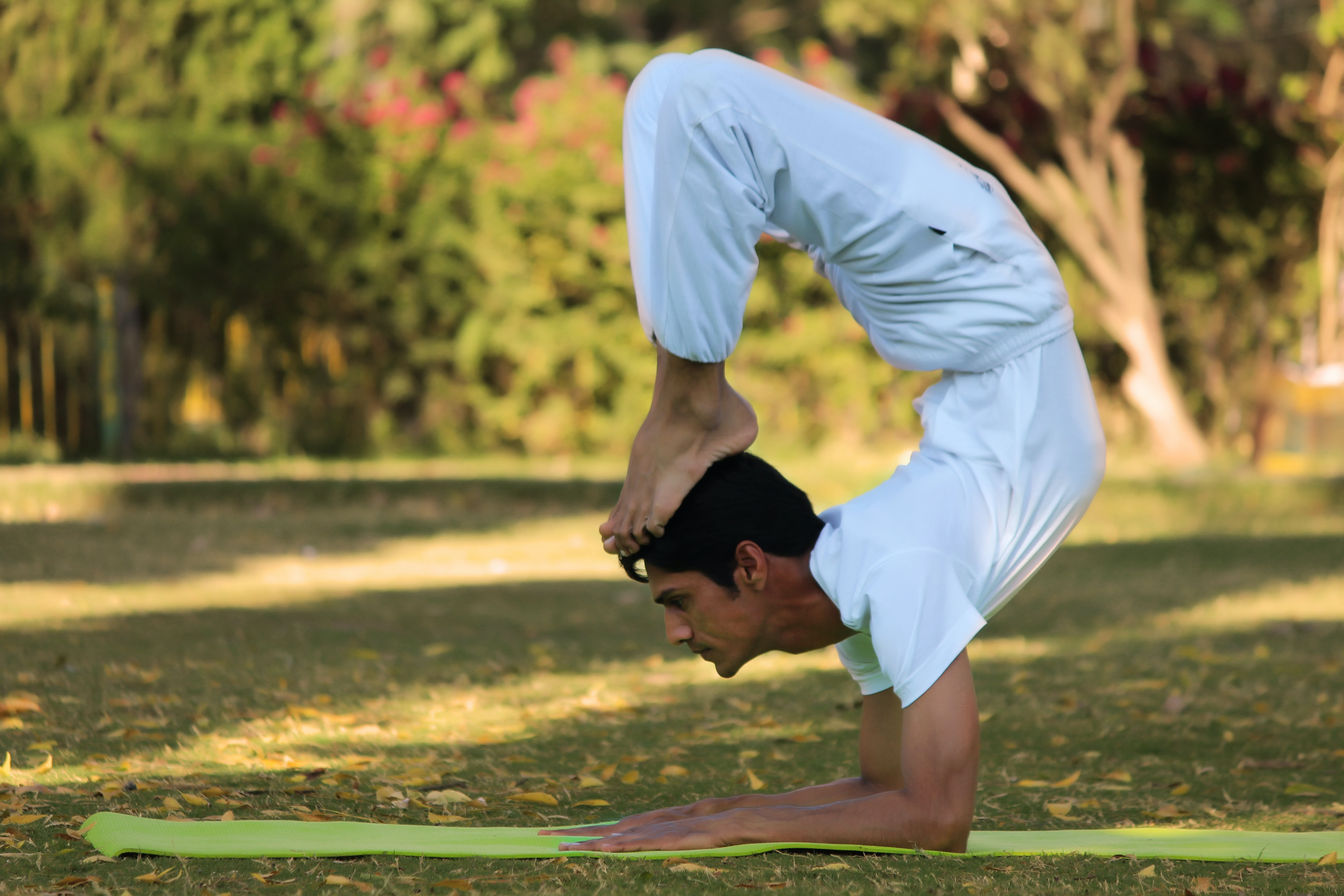 man standing on his forarms